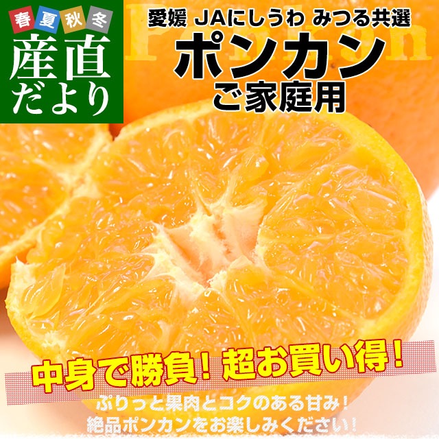 ぽんかん様専門ページ 愛媛県産 JAにしうわ みつる共選 ポンカン ご家庭用 2LからLサイズ 約3