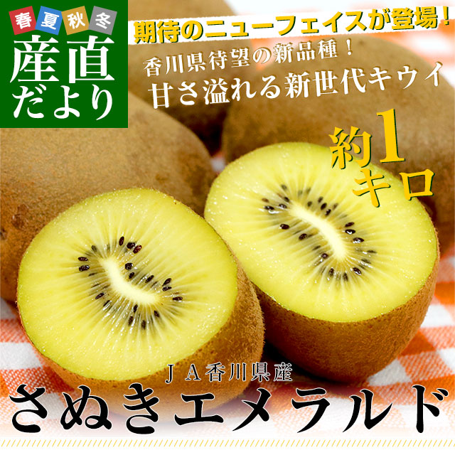 �����껺��ľ�� JA��� ���̤�������� ��1����(6�̤���9������) �񻺥������ե롼�� ����̵�� ������ �������ե롼��