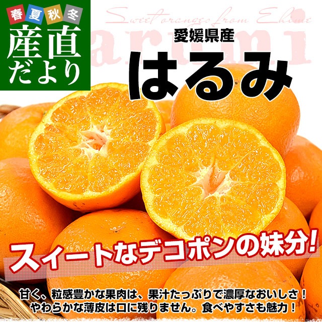 �ڲȷױ�����ʡ��۰�ɲ���� �Ϥ�� ���������֡��ʾ� ��5���� 3L����L������ (18�̤���30�����������̵�� ���� �ϥ��