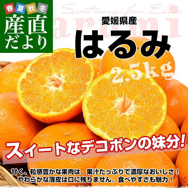 愛媛県産 はるみ 良品又は赤〇以上 約2.5キロ 3LからLサイズ (9玉から