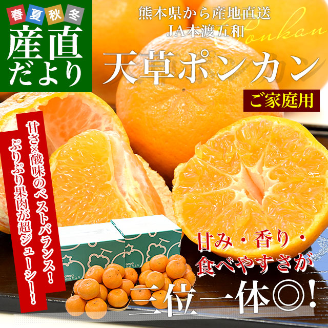 家計応援価格！】熊本県から産地直送 JA本渡五和 天草ポンカン ご家庭