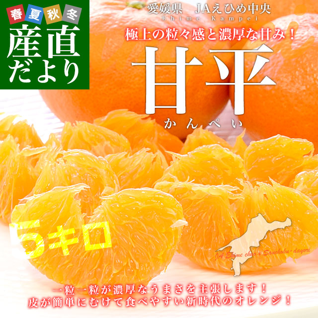 ��ɲ���� JA���Ҥ���� ��ʿ �ġ��ʰʾ� 4L����5L ��5����(10�̤���15������) ����̵�� ���� ����� ����ڥ�