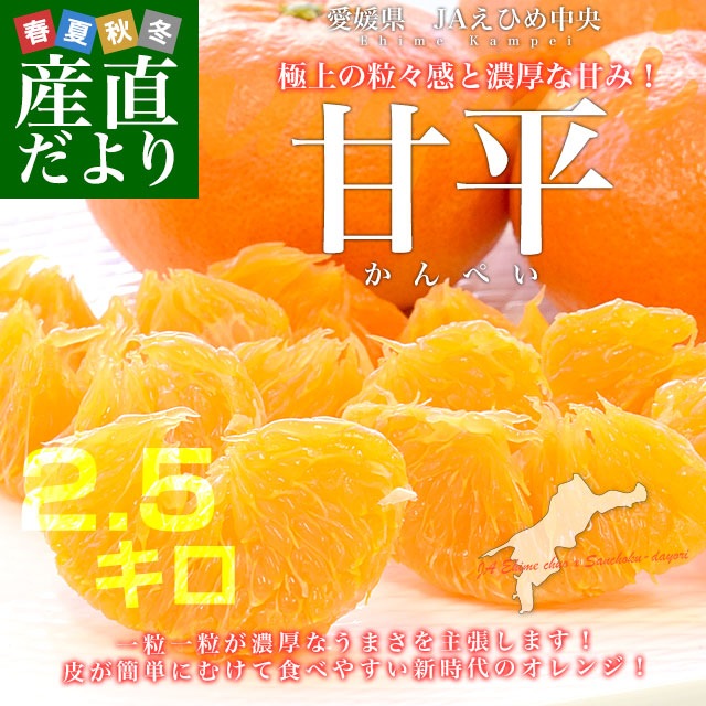 〜5/6期間限定割引き 中国エメラルドアンサンブル　3号×2 愛媛県産 JAえひめ中央 甘平 青秀品 3LからL 約2.5キロ(6玉から13玉