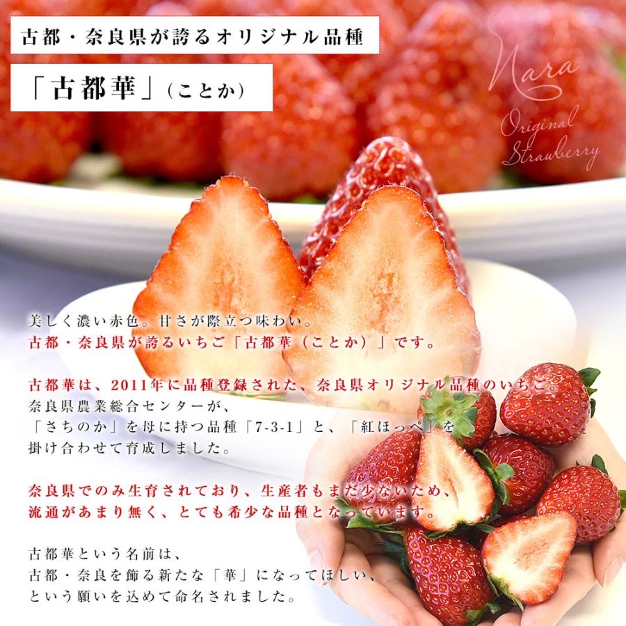 莓菰* 　無限練習生/无限练习生（5冊） 台湾版 特典付き 奈良県 古都華カンパニー 古都華（ことか） 3LからLサイズ 合計約540g