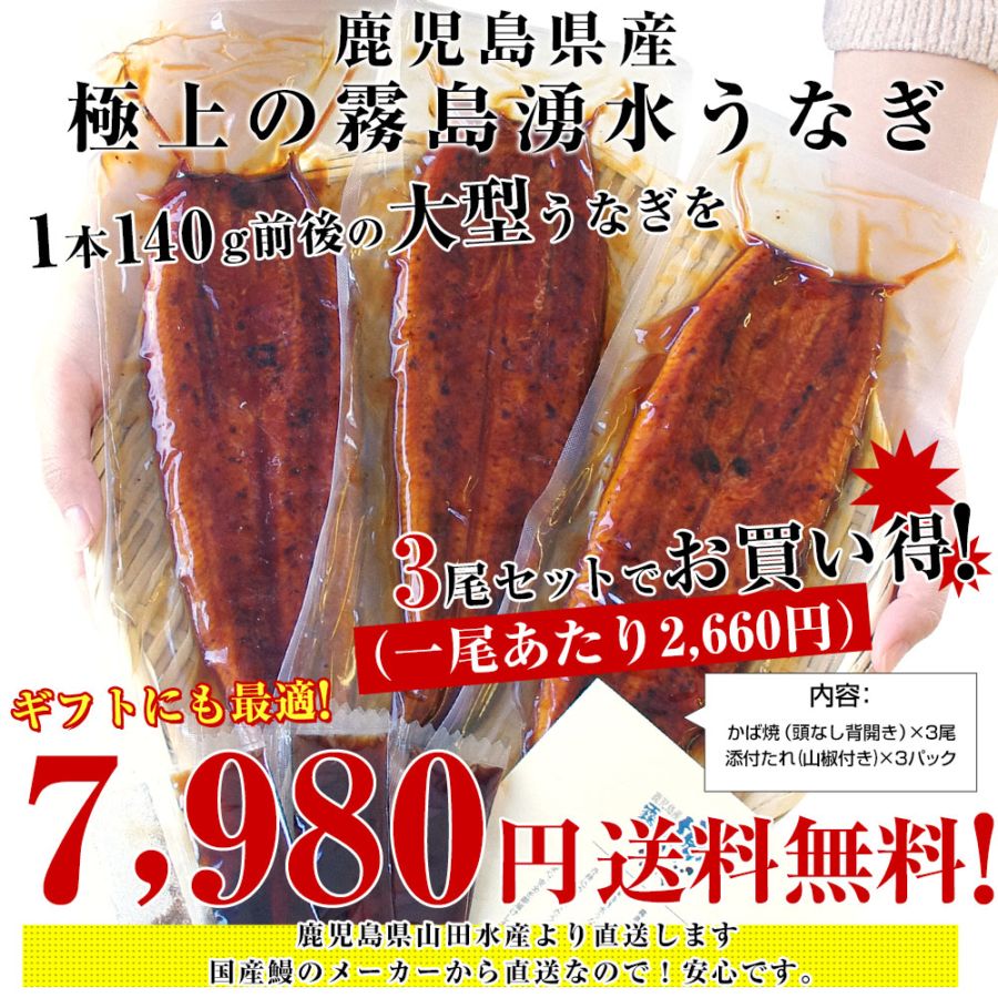 土用の丑の日】ギフトにも最適！ 鹿児島県志布志産 山田水産 霧島湧水