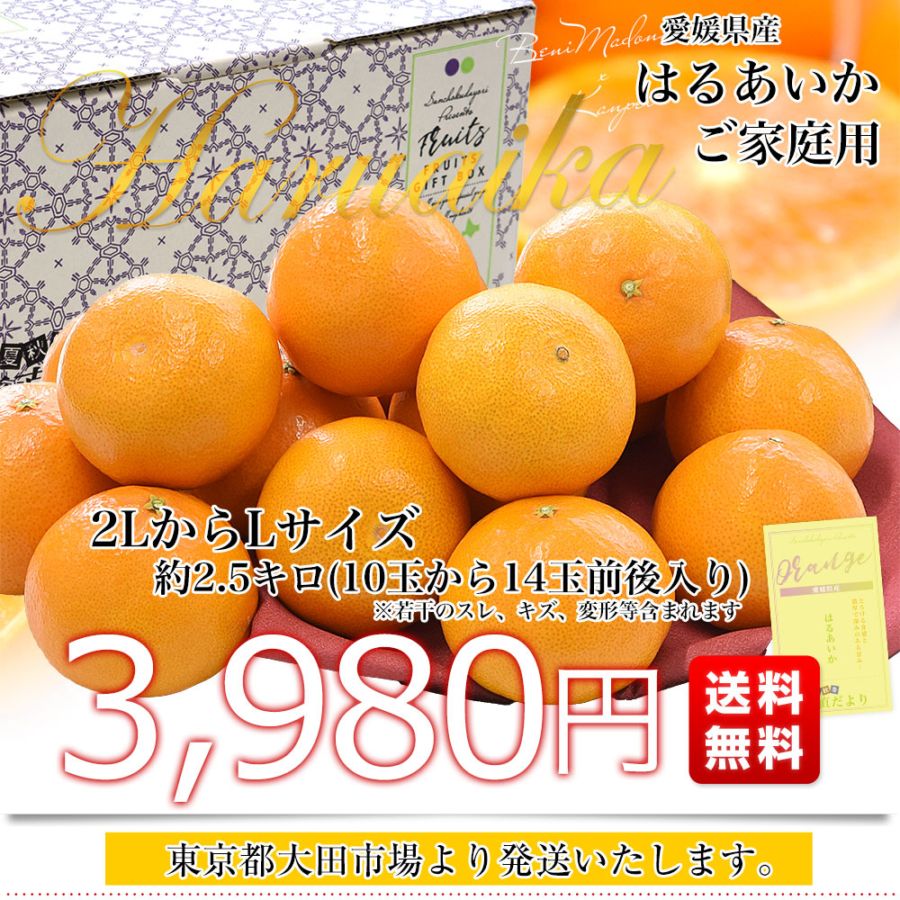 愛媛県産「はるあいか」ご家庭用 約2.5キロ2LからLサイズ(10玉から14玉