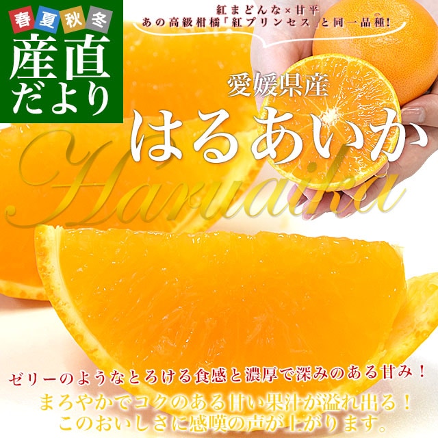 愛媛県産「はるあいか」ご家庭用 約2.5キロ2LからLサイズ(10玉から14玉