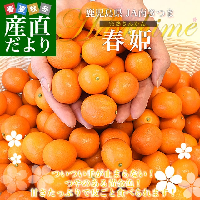 �����縩�� JA��Ĥ� ���Ϥ��󤫤�ֽ�ɱ�׽��� ����Ȣ ��2���� L�������ʾ� ����̵�� �ⴻ ���󥫥� ����