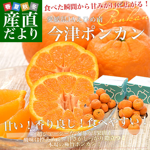 愛媛県 JAえひめ南 今津ポンカン 優品以上 2LからMサイズ 約2.5キロ×2