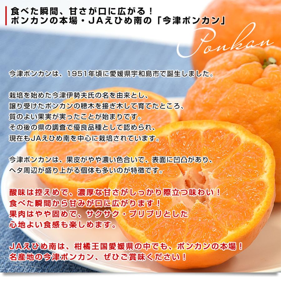 愛媛県 JAえひめ南 今津ポンカン 優品以上 2LからMサイズ 約2.5キロ×2