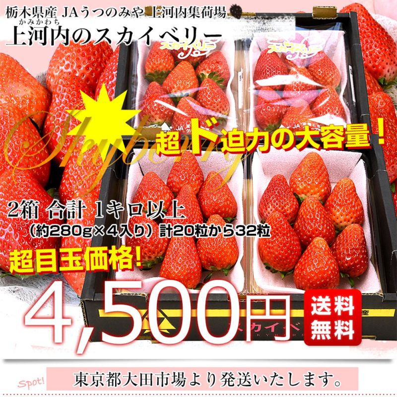 栃木県産 JAうつのみや 超盛り「上河内のスカイベリー」たっぷり2箱