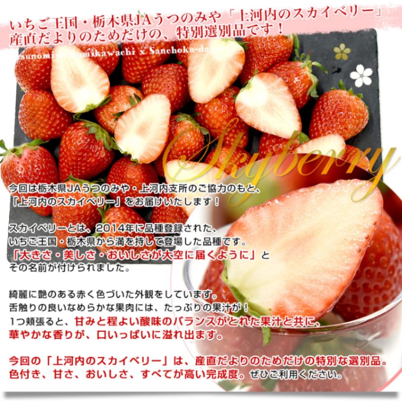 栃木県産 JAうつのみや 超盛り「上河内のスカイベリー」たっぷり2箱