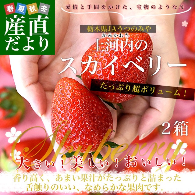 栃木県産 JAうつのみや 超盛り「上河内のスカイベリー」たっぷり2箱