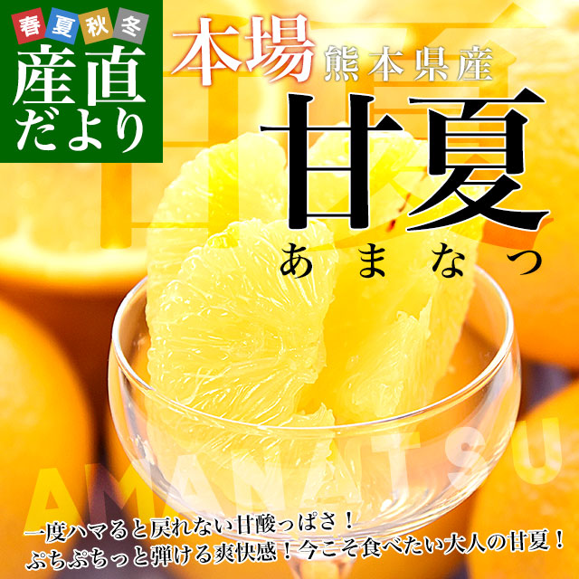 ���ܸ����黺��ľ�� ���ܸ��� �Ųơʤ��ޤʤġ� ���������� ̵�� M����2L������ ��5����(���12�̤���16������) ����̵�� ���̡����󤭤�