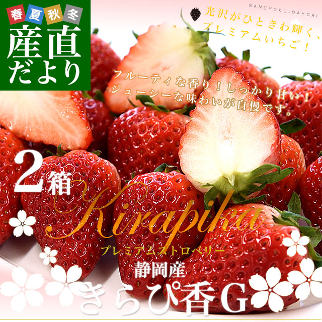 �Ų����� �ץ�ߥ��त���� Ķ���꤭��Թ� G ���äפ�2Ȣ ���1�����ʾ����260g��4����˷�20γ����48γ���� ����̵�� �� ������