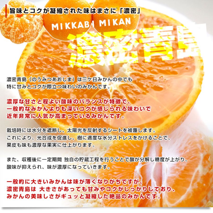 静岡県産 JAみっかび 三ヶ日みかん 濃蜜青島 3Lサイズ 優品以上 約3.5
