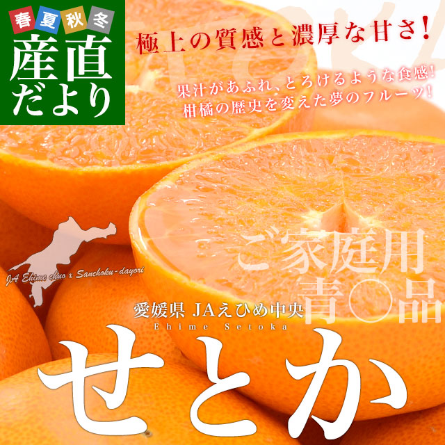 愛媛県産 JAえひめ中央 せとか ご家庭用 青〇品 3LからLサイズ 約5キロ 愛媛県産 JAえひめ中央 せとか ご家庭用 青〇品 3LからLサイズ 約5キロ