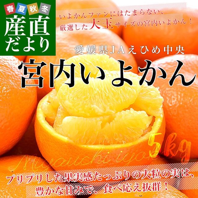 ��ɲ���� JA���Ҥ���� ���⤤�褫�� �������� ͥ�� ��� 3L������ ��5����(16������) ����̵�� ��ͽ�� ����