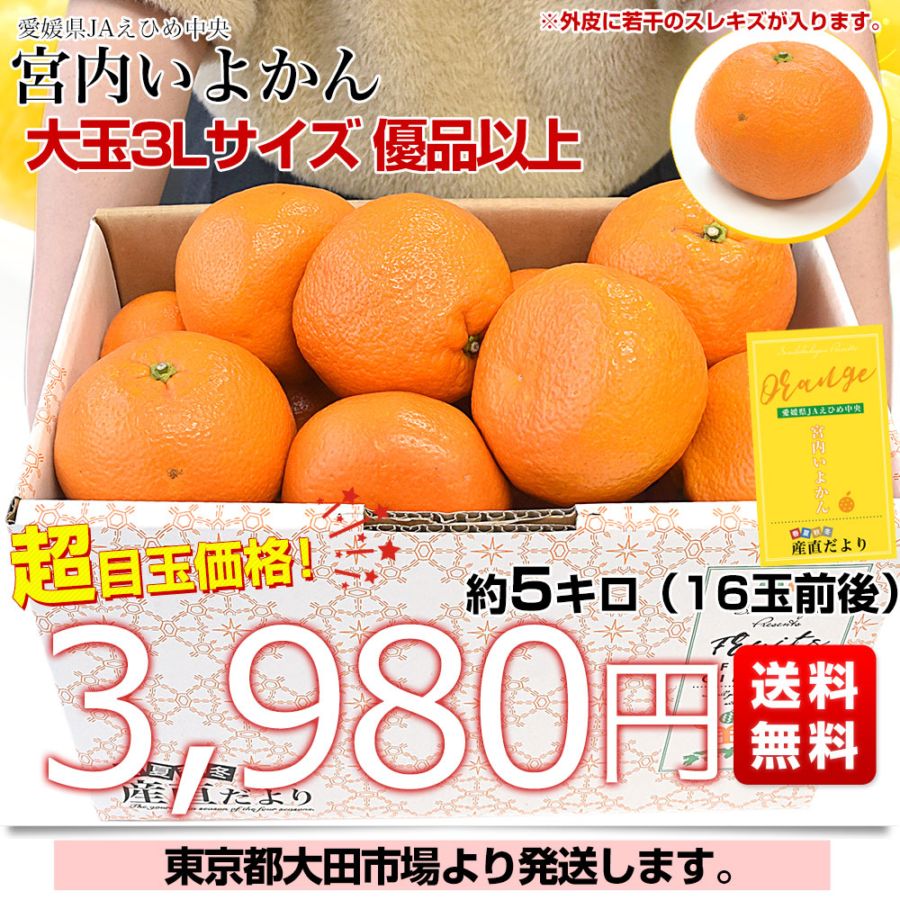 愛媛県産 JAえひめ中央 宮内いよかん ご家庭用 優品 大玉 3Lサイズ 約5