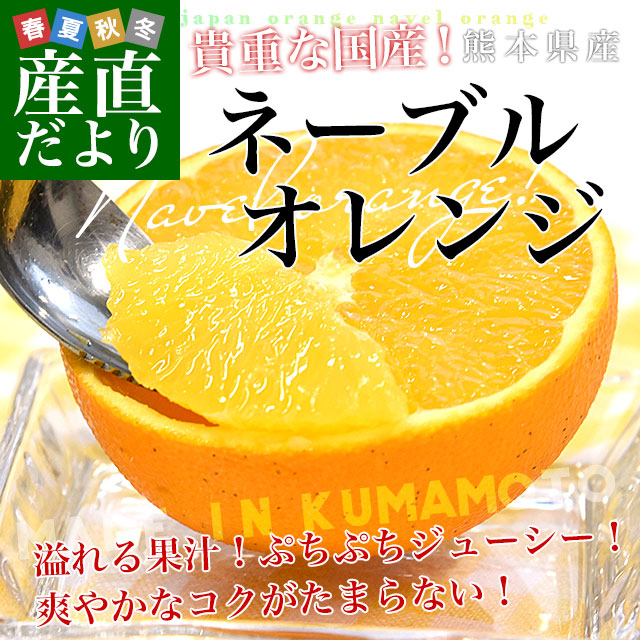 ���ܸ����黺��ľ�� ���ܸ��� �����ꤴ������ �͡��֥륪��� M����3L ��5������17�̤���33�����������̵�� ���� ���󤭤�