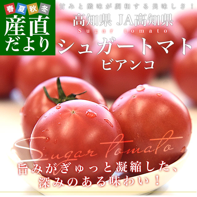 ���θ��� JA���θ� ���奬���ȥޥ� ����8�ٰʾ� ���顧�ӥ��� ��800g��12�̤���20�̡�����̵�� �ȥޥ� �Ȥޤ� �ե롼�ĥȥޥ� �դ롼�ĤȤޤȡ��Ծ�ȯ��