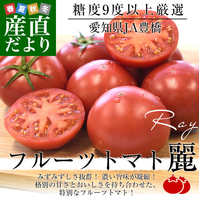 愛知県 JA豊橋 フルーツトマト 麗 約800g (12玉から20玉) 送料無料
