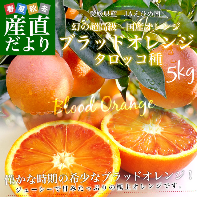 愛媛県より産地直送 JAえひめ南 ブラッドオレンジ タロッコ種 優品 5
