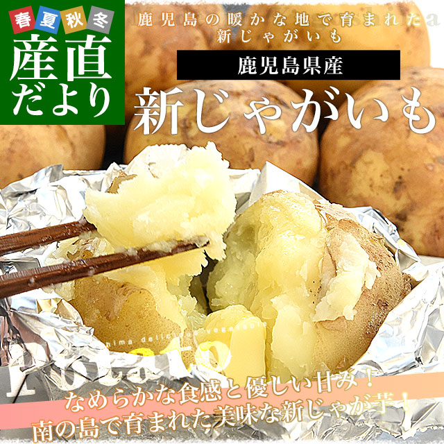 �����縩�� �����㤬�� ���� 2L����L������ ��5������20�̤���35�����������̵�� ����� ���㤬���� ���㥬���� �����㤬����