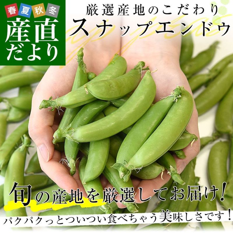 �������ϤΤ�����ꥹ�ʥåץ���ɥ� ���� L������ ��1���� ����̵�� Ʀ�� ���ʥåץ���ɥ� ���ʥå�����ɥ� ��������