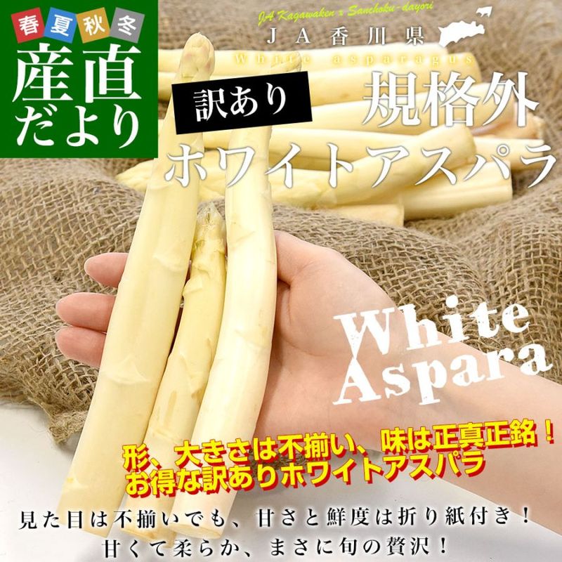 �����껺��ľ�� JA��� ���ʳ��������� �ۥ磻�ȥ����ѥ� �羮���� ��700g (16����32������) ����̵��  �ݵ���¾ �����ѥ饬��