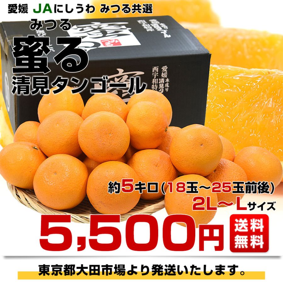 愛媛県産 JAにしうわ みつる共選 プレミアム清見タンゴール 蜜る 秀品