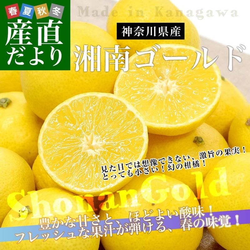 ������� �������� �������� ��2���� L����S��������25�̤���40�����������̵�� ���� ���󤭤� ����� �ߤ��� �մ���