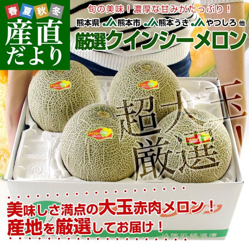 ���ܸ����黺��ľ�� ���������󥷡������ ��� ͥ�ʰʾ塡3L����4L ��5����(3�̤���4�̡� ����̵�� JA���ܻ� JA���ܤ��� JA��Ĥ��� ¾