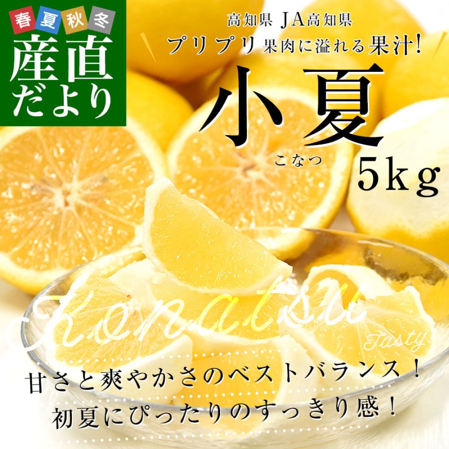高知県産 JA高知県 小夏 秀品 約5キロ 2Lサイズ（22玉前後）送料無料