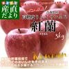 �Ŀ�����껺��ľ�� �ޥ른�󡦥��󥢥åץ� ����14�ٰʾ� ����դ� �ֹ����ʤ������ˡ� MCA��¢�� ��3���� (9�̤���11��) ����̵�� ��� ��� �Ӹ�