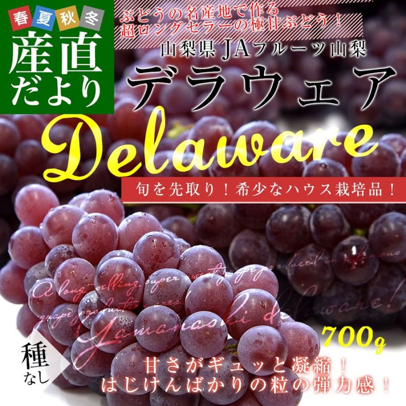�������� JA�ե롼�Ļ��� �ǥ饦���� �ϥ������� ���� ��700g�����5˼����6˼�� ����̵�� �֤ɤ� �֥ɥ� ��ƺ ��������