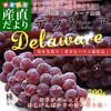 �������� JA�ե롼�Ļ��� �ǥ饦���� �ϥ������� ���� ��700g�����5˼����6˼�� ����̵�� �֤ɤ� �֥ɥ� ��ƺ ��������
