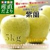 �Ŀ�����껺��ľ�� �ޥ른�󡦥��󥢥åץ� ����14�ٰʾ� ���� �ֻ����ʤ����ˡ� CA��¢�� ��5���� (16�̤���20��) ����̵�� ��� ��� �Ӹ�