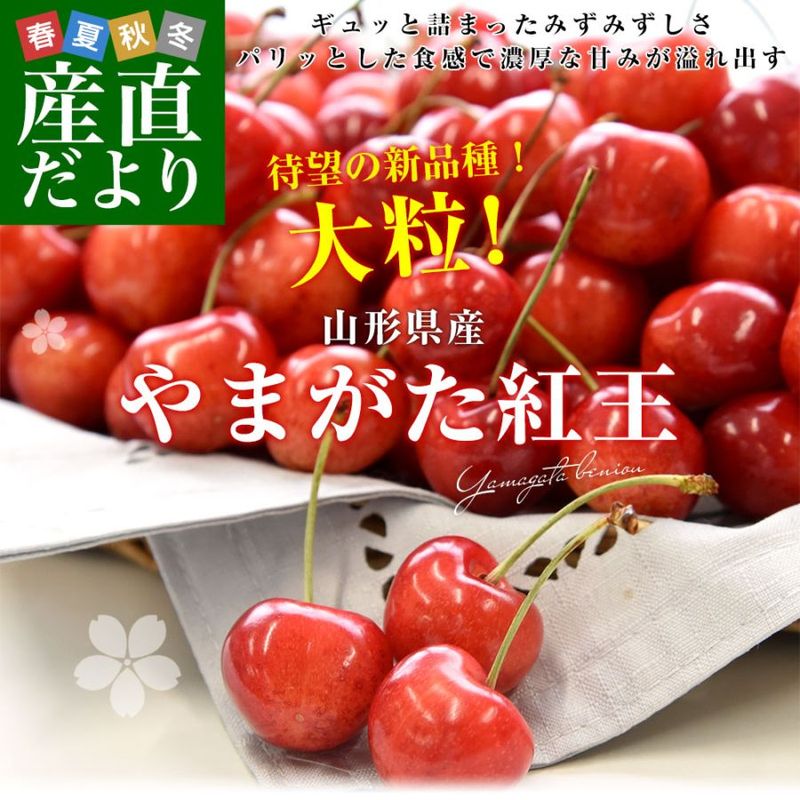 ��������껺��ľ�� �������� �֤�ޤ����Ȳ��� ���� 2L ��������500g ����̵�� �������� �������ܺ���