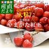 ��������껺��ľ�� �������� �֤�ޤ����Ȳ��� ���� 2L ��������500g ����̵�� �������� �������ܺ���
