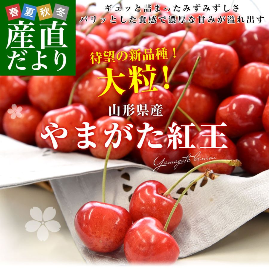 山形県より産地直送 さくらんぼ 「やまがた紅王」 秀品 2L サイズ約