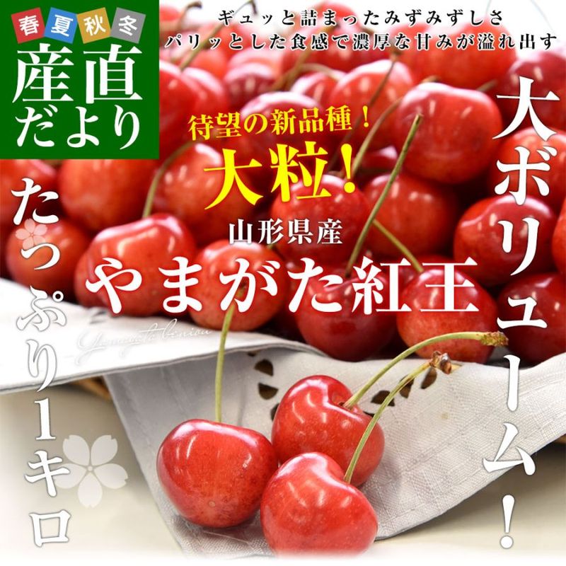 ��������껺��ľ�� �������� �֤�ޤ����Ȳ��� ���� 2L ��������1���� (500g��2)����̵�� �������� �������ܺ���