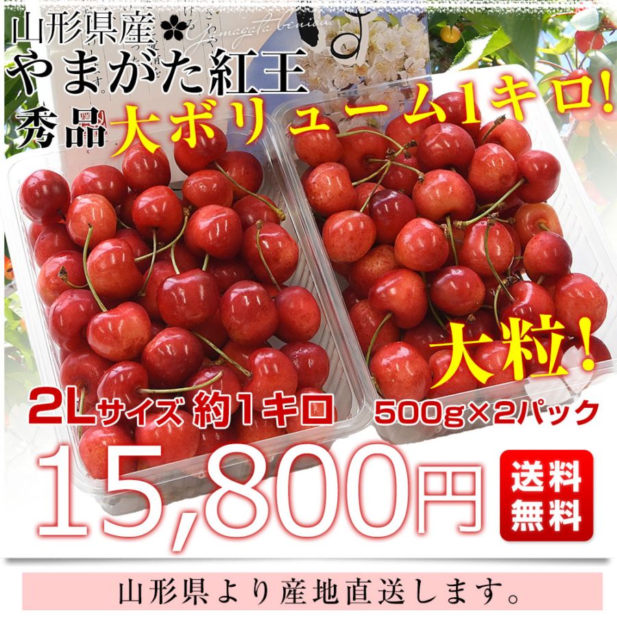 山形県より産地直送 さくらんぼ 「やまがた紅王」 秀品 2L サイズ約1