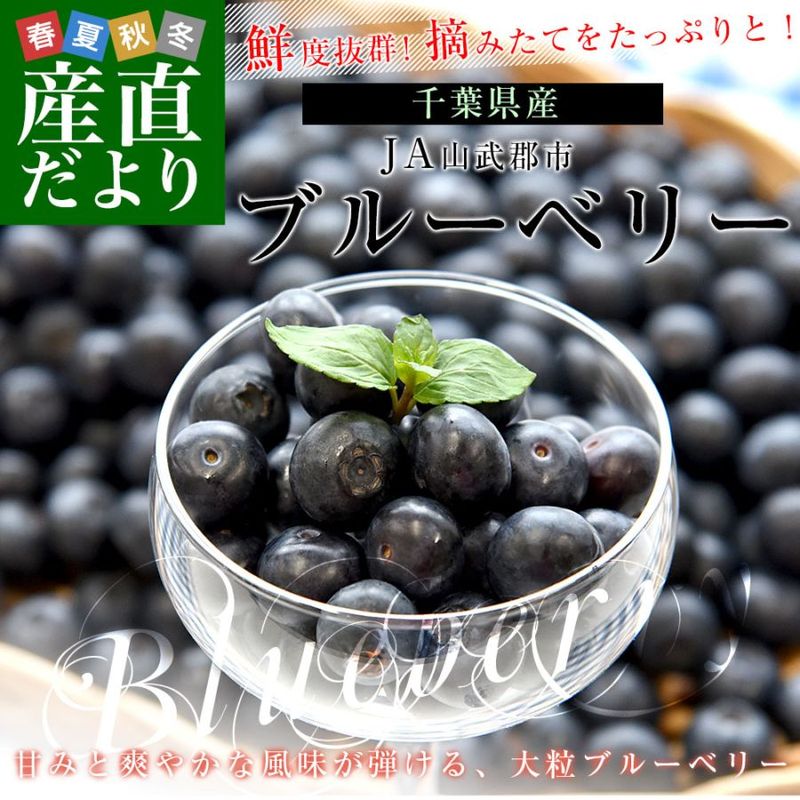 ���ո��� JA���𷴻� �֥롼�٥꡼ ��γ ��800g (��100g��8P) ����̵�� �֤롼�٤꡼ ��������
