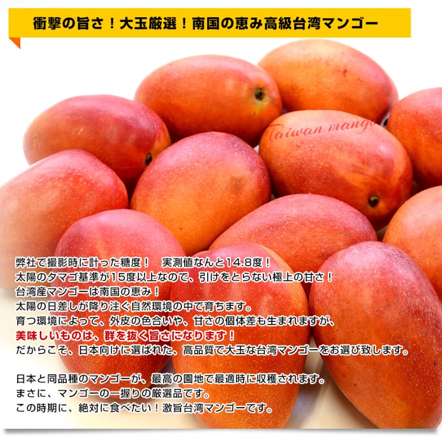 台湾産 台湾マンゴー（品種：愛文 アーウイン）大玉厳選 約2.5キロ（6