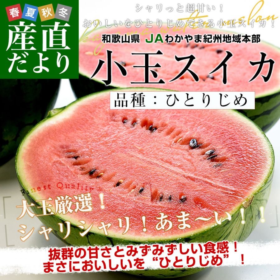 和歌山県産 JAわかやま紀州地域本部 小玉スイカ(ひとりじめ) 秀品 大玉