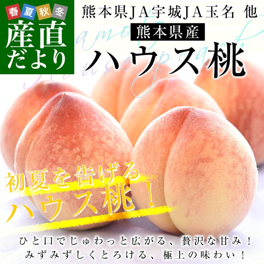 熊本県から産地直送 ハウス桃 秀品 約1キロ (4玉から6玉) 4Lから2L