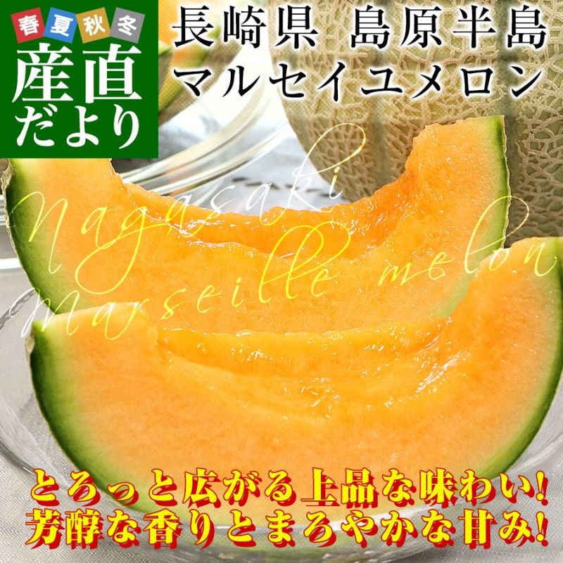 長崎県産 赤肉メロン マルセイユメロン 秀品 3Lサイズ 2玉（合計2.5