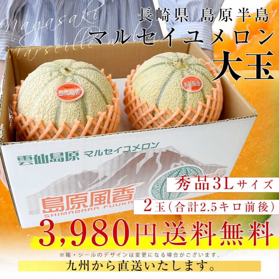 長崎県産 赤肉メロン マルセイユメロン 秀品 3Lサイズ 2玉（合計2.5