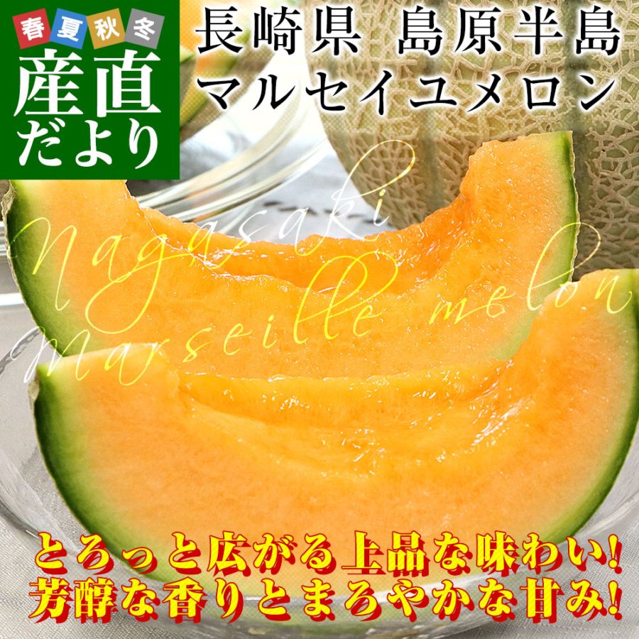 長崎県産 赤肉メロン マルセイユメロン 秀品 3Lサイズ 2玉（合計2.5